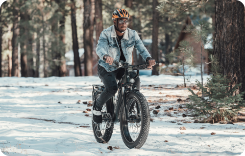 Bicicleta Eléctrica Fat Bike